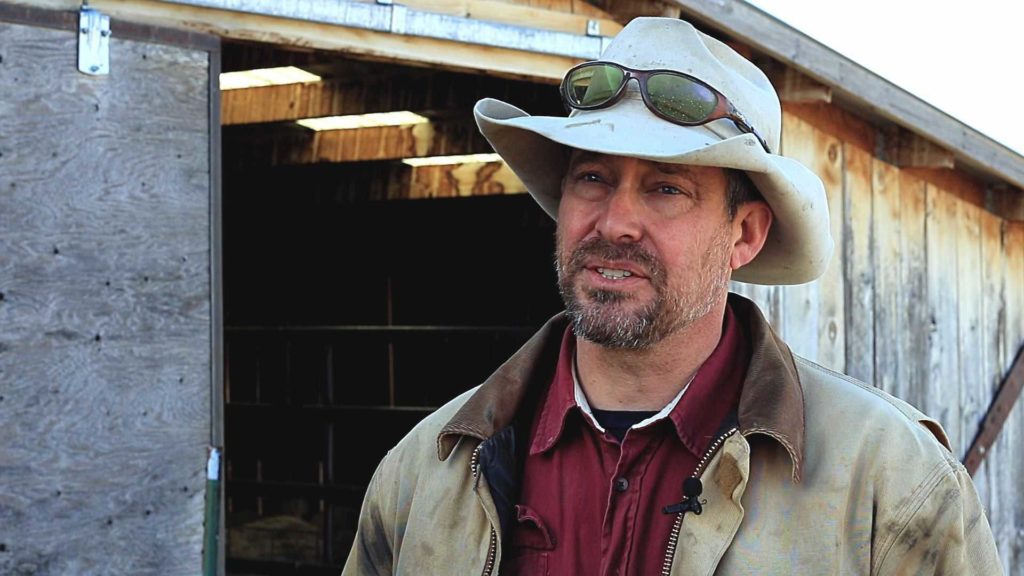 National Sheep Improvement United States 2 National Sheep Improvement United States 1